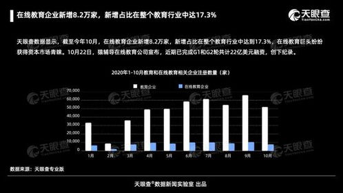 在线教育行业迅猛扩张 截至十月新增8.2万家企业，占比达行业17%