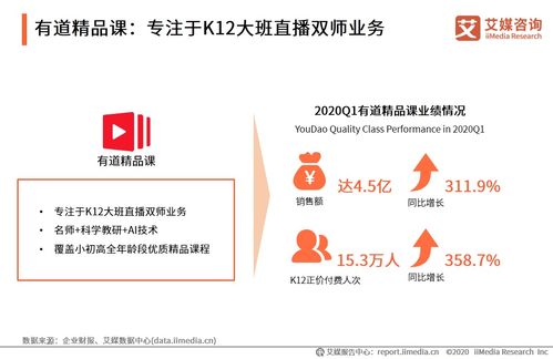 线上教育的蜕变 2020上半年中国K12在线教育行业全景透视